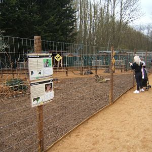 18/3/2017 View of Australia exhibit