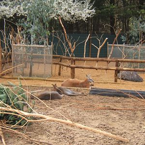 18/3/2017 View of Australia exhibit