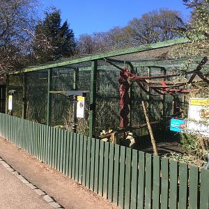Western polecat, Vietnamese pheasant & red bellied lemur enclosures.