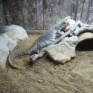 18/3/2017 Bosc Monitor