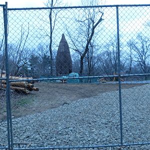Construction on the African Plains | The Bronx Zoo