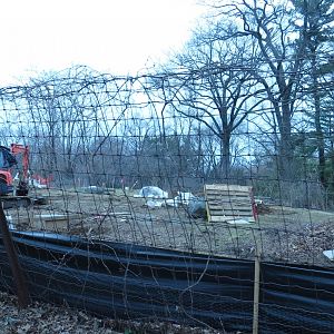 Construction on the African Plains 2 | The Bronx Zoo