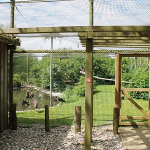 View into Waders-aviary