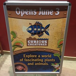 Curious Creatures logo