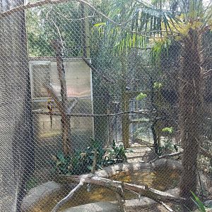 Some kind of joke...