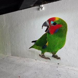 Work in progress of Joel Sartore collection at the zoo