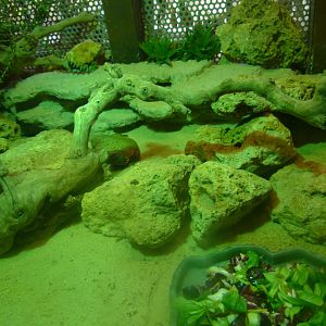 reptile enclosure