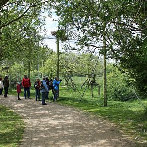 Crane - Vulture Aviary