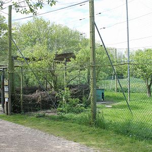 Crane - Vulture Aviary