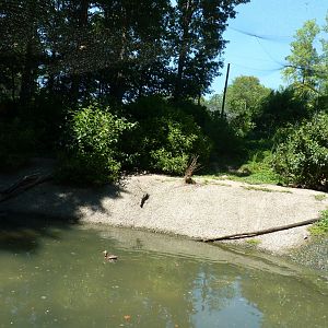 North america aviary, bottom pond