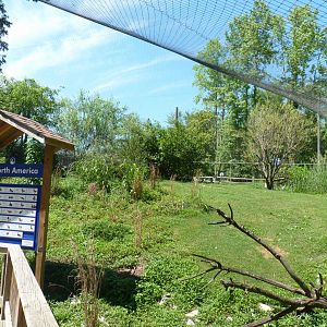 North america avairy