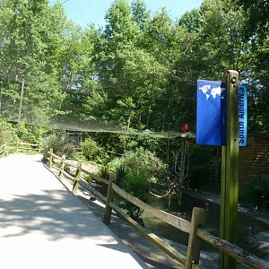 South american aviary