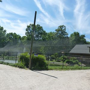 Multinational avairy