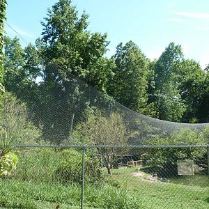 North america aviary