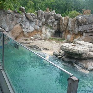 Polar bear exhibit pool