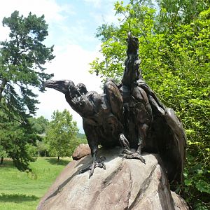 Sculpture of Lappet faced vulture