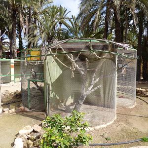 Round Aviaries