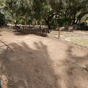 Emu Enclosure