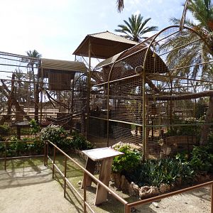 Ring-Tailed Lemur Enclosure