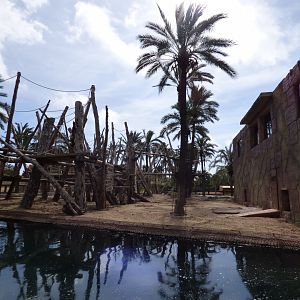 Outdoor Orangutan Enclosure
