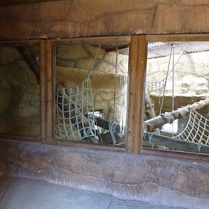 Indoor Chimpanzee Enclosure