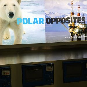 O'Hare Airport - Polar Bear Sign