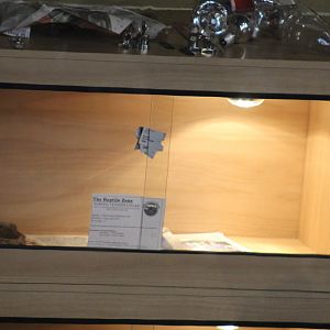 Venomous Snake Terrarium