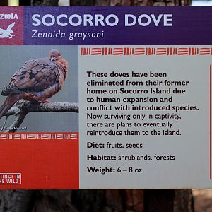 Socorro dive signage