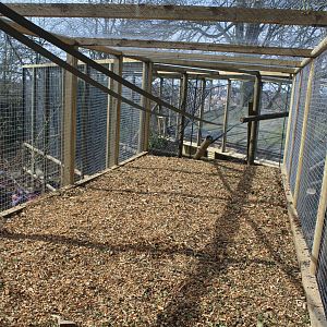 Capuchin enclosure extension Dudley Zoo 26 March 2017
