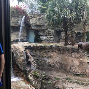 Jungala - Tiger Habitat 1