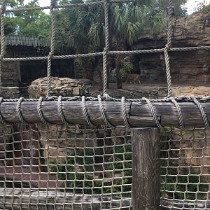 Jungala - Tiger exhibit 2