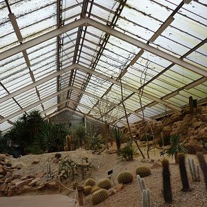 Desert House, March 2017