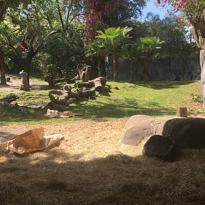 Myombe Reserve - Gorilla Exhibit