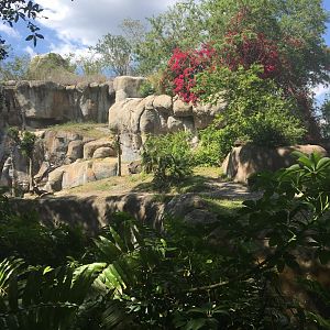 Myombe Reserve - Gorilla Exhibit