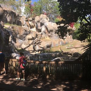 Myombe Reserve - Gorilla Exhibit