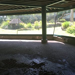 Myombe Reserve - Chimpanzee Exhibit