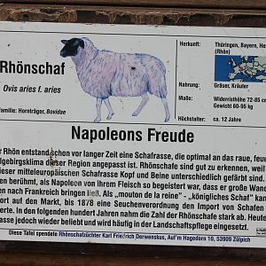 Rhön sheep-sign