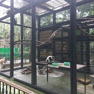 Ruffed lemur+Two-toed sloth(not seen) exhibit