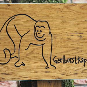 Sign Yellow-breasted capuchin