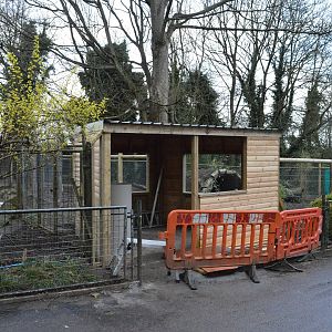 New viewing area under construction