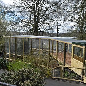 New capuchin enclosure