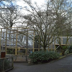 New capuchin enclosure