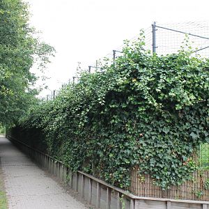Walk along the cages