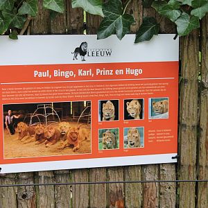 History-info Lion-troop