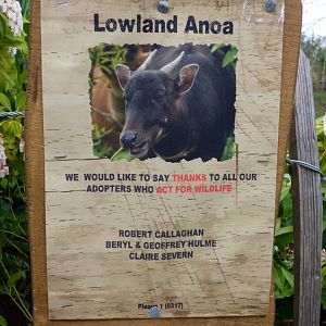 Lowland Anoa Signage