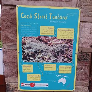 Tuatara Signage