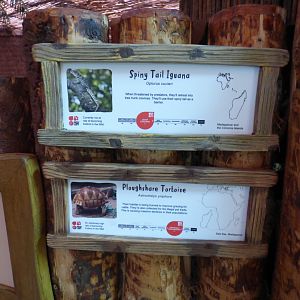 Signage in Dragon in Danger