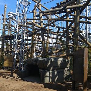 Chimpanzee Lookout Outdoor