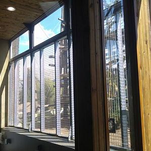 Chimpanzee Lookout Outdoor (Training Room)