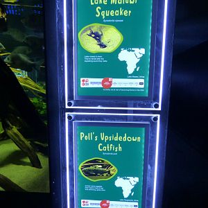 Aquarium Signage